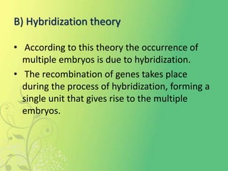 B) Hybridization theory
• According to this theory the occurrence of
multiple embryos is due to hybridization.
• The recombination of genes takes place
during the process of hybridization, forming a
single unit that gives rise to the multiple
embryos.
 