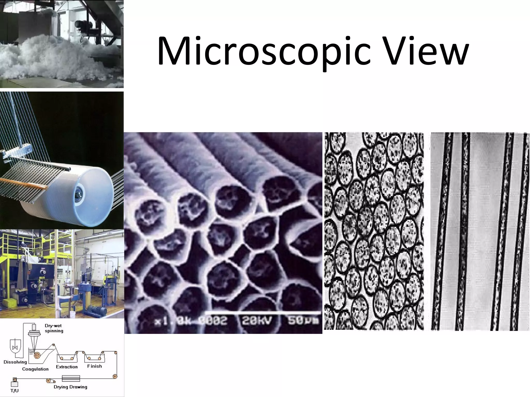 Microscopic View
 