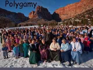 Polygamy ow black
