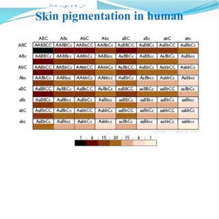 Poly Genes Polygenes and their inheritance pattern.pptx