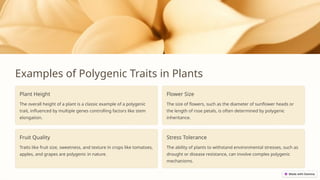 Examples of Polygenic Traits in Plants
Plant Height
The overall height of a plant is a classic example of a polygenic
trait, influenced by multiple genes controlling factors like stem
elongation.
Flower Size
The size of flowers, such as the diameter of sunflower heads or
the length of rose petals, is often determined by polygenic
inheritance.
Fruit Quality
Traits like fruit size, sweetness, and texture in crops like tomatoes,
apples, and grapes are polygenic in nature.
Stress Tolerance
The ability of plants to withstand environmental stresses, such as
drought or disease resistance, can involve complex polygenic
mechanisms.
 