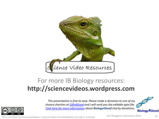 Mathematical QuestionsKey to alleles:A, B, C = contributingA, b, c = non-contributingA trait is controlled by three genes, each with two alleles.How many genotypes & phenotypes are possible for this trait? 10.3 Polygenic Inheritance (AHL)29http://sciencevideos.wordpress.com