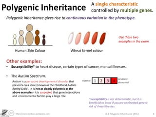 Polygenic Pattern Polygenic Inheritance (AHL) | PPTX