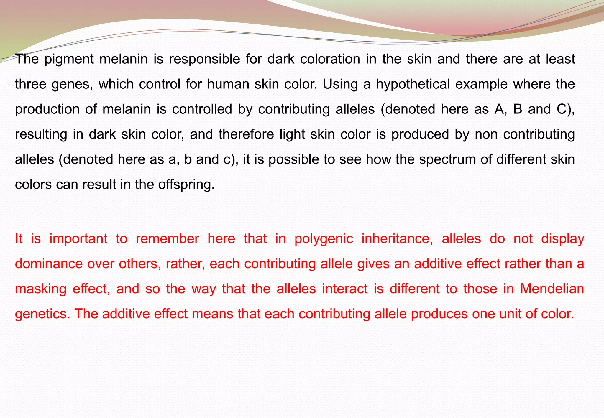 The pigment melanin is responsible for dark coloration in the skin and there are at least
three genes, which control for human skin color. Using a hypothetical example where the
production of melanin is controlled by contributing alleles (denoted here as A, B and C),
resulting in dark skin color, and therefore light skin color is produced by non contributing
alleles (denoted here as a, b and c), it is possible to see how the spectrum of different skin
colors can result in the offspring.
It is important to remember here that in polygenic inheritance, alleles do not display
dominance over others, rather, each contributing allele gives an additive effect rather than a
masking effect, and so the way that the alleles interact is different to those in Mendelian
genetics. The additive effect means that each contributing allele produces one unit of color.
 