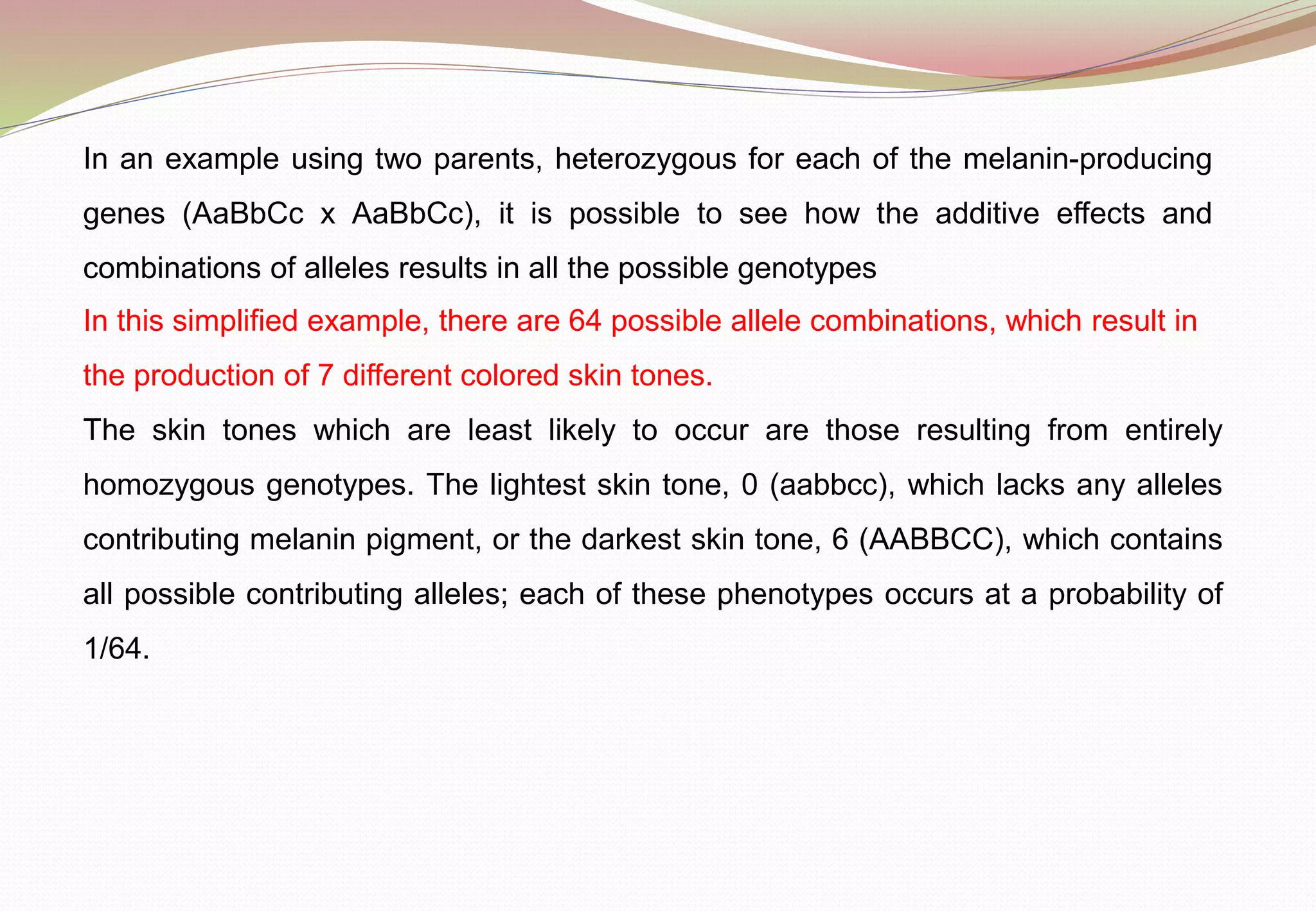 In an example using two parents, heterozygous for each of the melanin-producing
genes (AaBbCc x AaBbCc), it is possible to see how the additive effects and
combinations of alleles results in all the possible genotypes
In this simplified example, there are 64 possible allele combinations, which result in
the production of 7 different colored skin tones.
The skin tones which are least likely to occur are those resulting from entirely
homozygous genotypes. The lightest skin tone, 0 (aabbcc), which lacks any alleles
contributing melanin pigment, or the darkest skin tone, 6 (AABBCC), which contains
all possible contributing alleles; each of these phenotypes occurs at a probability of
1/64.
 