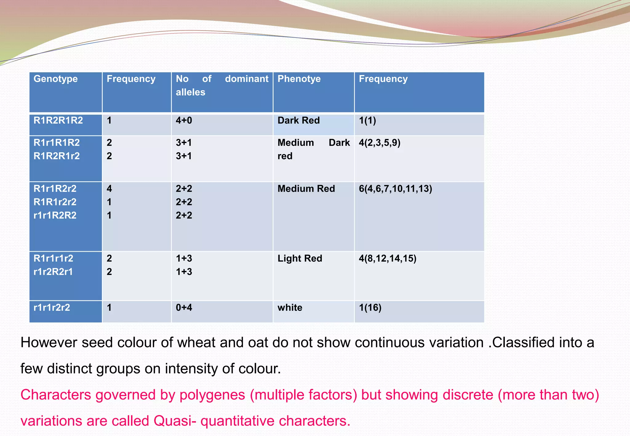 Genotype Frequency No of dominant
alleles
Phenotye Frequency
R1R2R1R2 1 4+0 Dark Red 1(1)
R1r1R1R2
R1R2R1r2
2
2
3+1
3+1
Medium Dark
red
4(2,3,5,9)
R1r1R2r2
R1R1r2r2
r1r1R2R2
4
1
1
2+2
2+2
2+2
Medium Red 6(4,6,7,10,11,13)
R1r1r1r2
r1r2R2r1
2
2
1+3
1+3
Light Red 4(8,12,14,15)
r1r1r2r2 1 0+4 white 1(16)
However seed colour of wheat and oat do not show continuous variation .Classified into a
few distinct groups on intensity of colour.
Characters governed by polygenes (multiple factors) but showing discrete (more than two)
variations are called Quasi- quantitative characters.
 