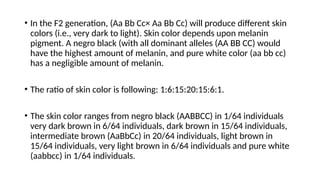 • In the F2 generation, (Aa Bb Cc× Aa Bb Cc) will produce different skin
colors (i.e., very dark to light). Skin color depends upon melanin
pigment. A negro black (with all dominant alleles (AA BB CC) would
have the highest amount of melanin, and pure white color (aa bb cc)
has a negligible amount of melanin.
• The ratio of skin color is following: 1:6:15:20:15:6:1.
• The skin color ranges from negro black (AABBCC) in 1/64 individuals
very dark brown in 6/64 individuals, dark brown in 15/64 individuals,
intermediate brown (AaBbCc) in 20/64 individuals, light brown in
15/64 individuals, very light brown in 6/64 individuals and pure white
(aabbcc) in 1/64 individuals.
 