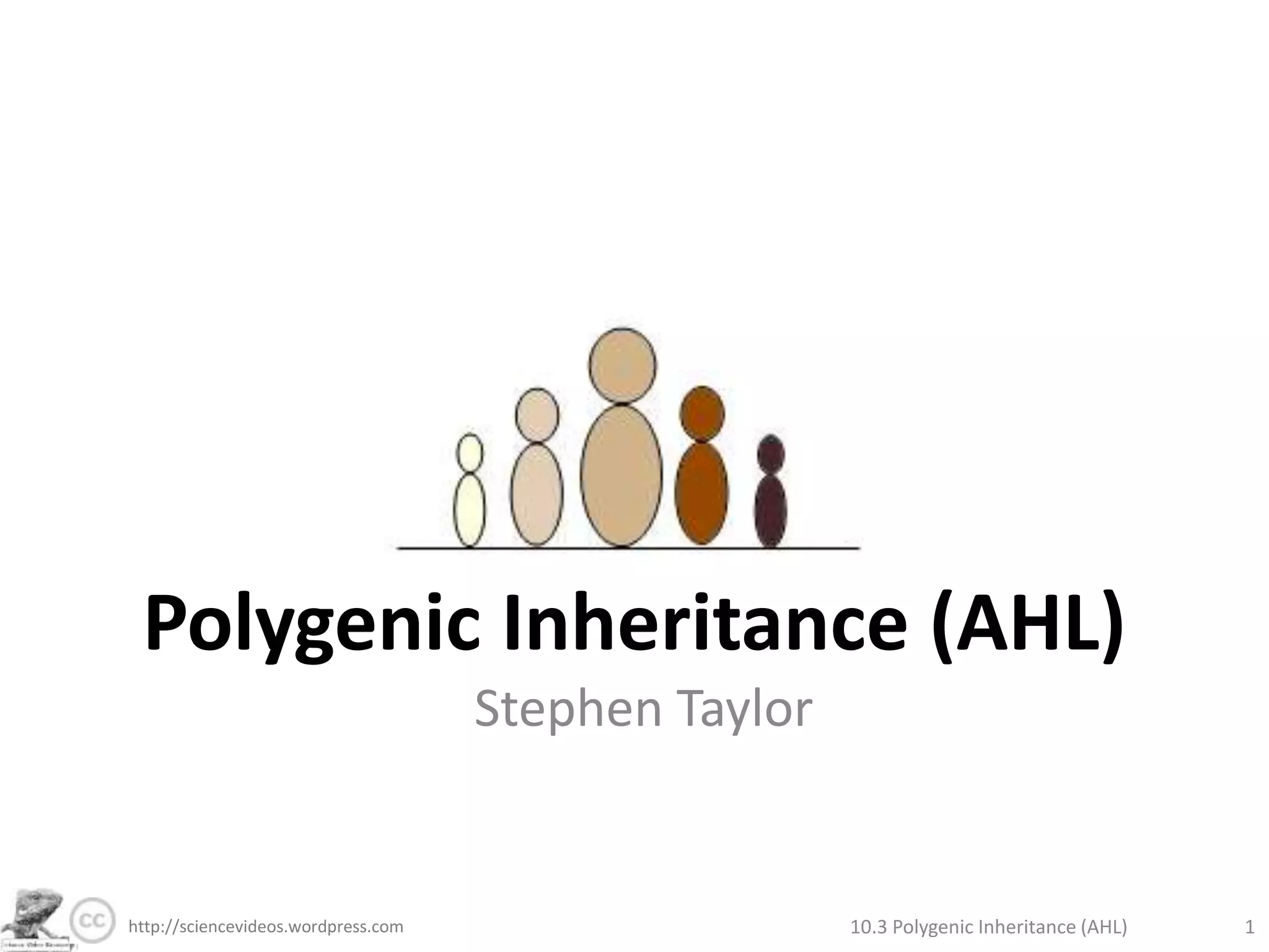 Polygenic Inheritance (AHL)Stephen Taylor10.3 Polygenic Inheritance (AHL)1http://sciencevideos.wordpress.com