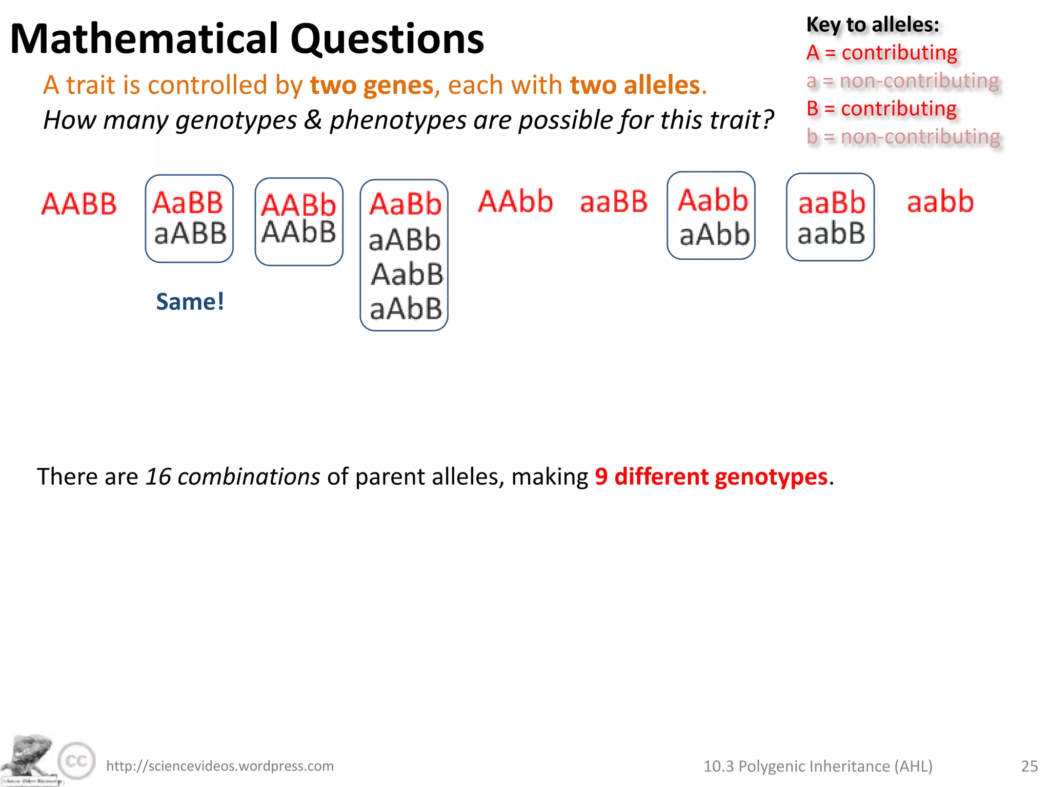 Global Evolution of Skin ColourMap of global skin colour distribution from:http://en.wikipedia.org/wiki/Human_skin_colorWhat are the advantages of:a. Dark skin in hot climates?b. Pale skin in cold climates?     In this case, the correlation between skin colour and latitude does suggest causality.Protection against UV and therefore skin damage and cancer.Dark-skinned people in cold climates should use vitamin D supplements.  Increased production of vitamin D in low-sunlight conditions.Pale-skinned people in hot climates should slip-slop-slap-seek-slide.  10.3 Polygenic Inheritance (AHL)19http://sciencevideos.wordpress.com