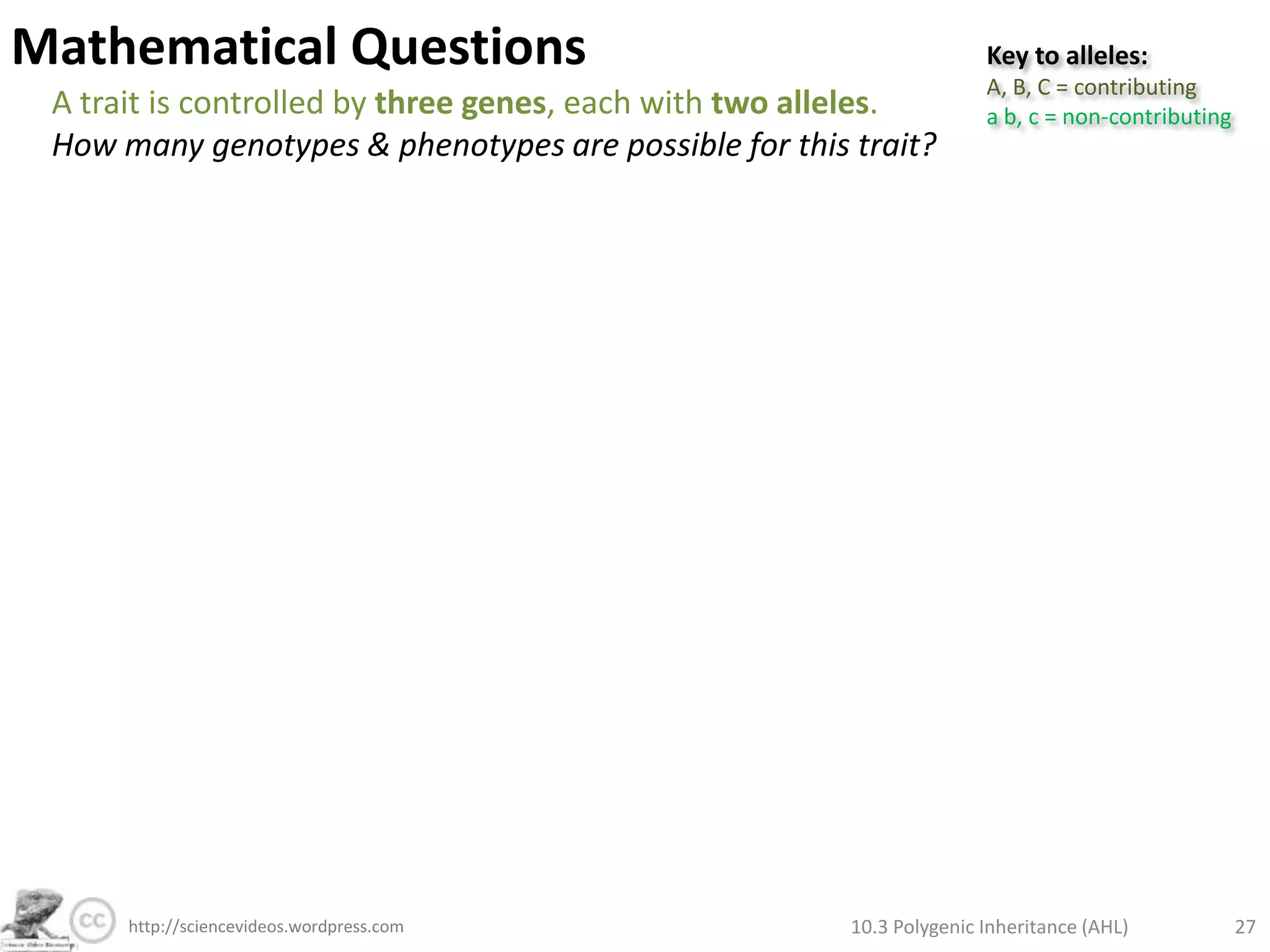Polygenic Inheritance of Wheat Kernel ColourInheritance of colour of wheat kernels works in a similar way to human skin colour. A wheat plant which is homozygous dominant for both genes is crossed with one which is heterozygous for both genes. What is the predicted ratio of phenotypes in the cross?Key to alleles:A = add reda = don’t add redB = add redb = don’t add redhomozygous dominant for both genesF0heterozygous for both genesAaBbAABBGenotype:Punnet Grid:F110.3 Polygenic Inheritance (AHL)21http://sciencevideos.wordpress.com