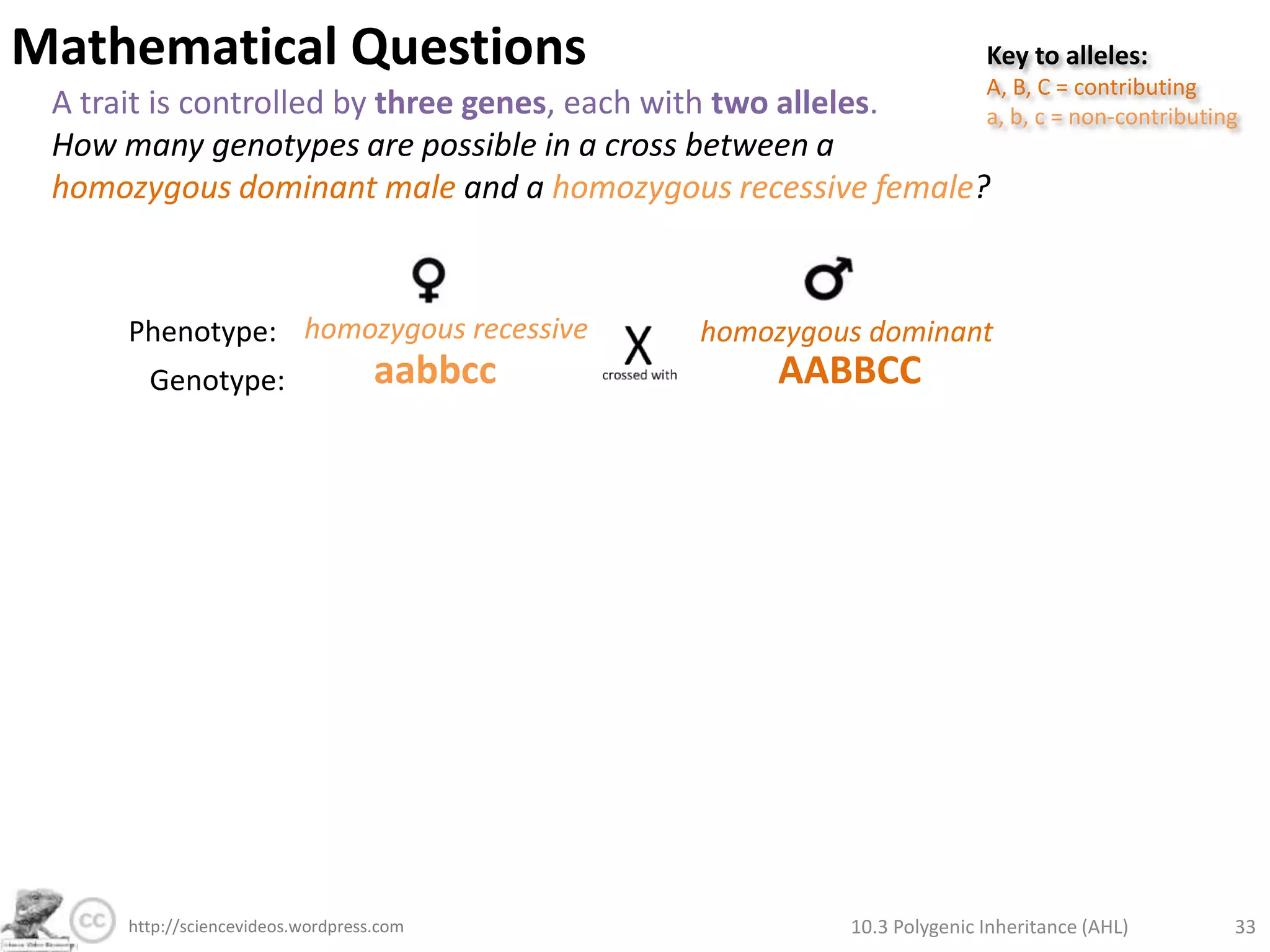 Mathematical QuestionsKey to alleles:A, B, C = contributingab, c = non-contributingA trait is controlled by three genes, each with two alleles.How many genotypes & phenotypes are possible for this trait? 10.3 Polygenic Inheritance (AHL)27http://sciencevideos.wordpress.com