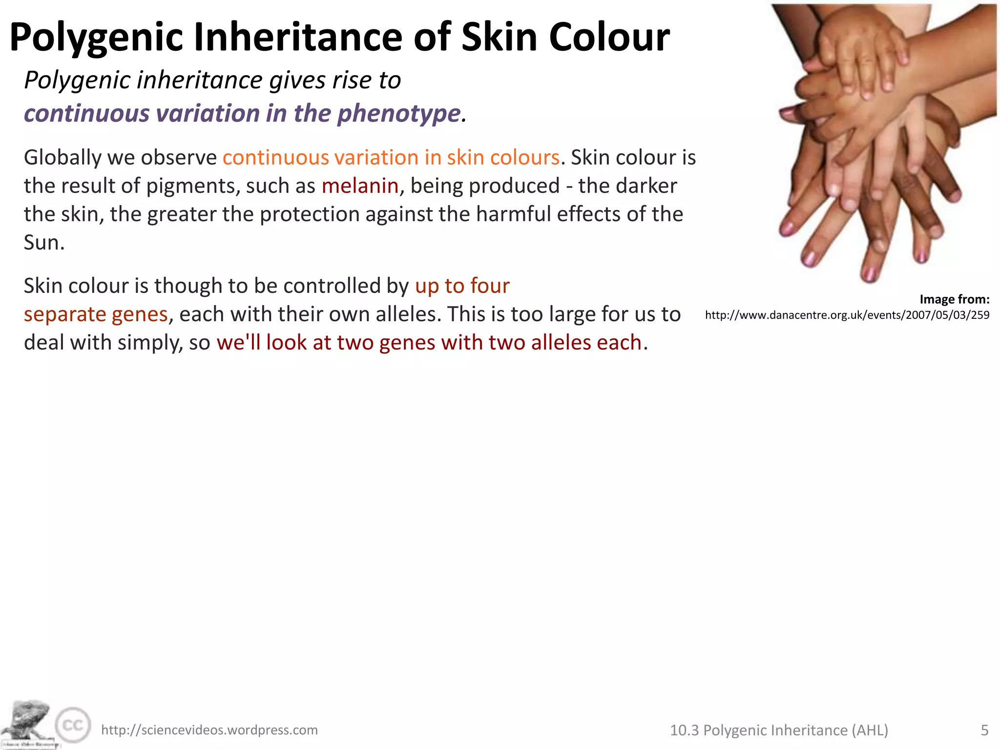 The Autism Spectrum. Autism is a pervasive developmental disorder that presents on a scale (known as the Childhood Autism Rating Scale).  It is not as clearly polygenic as the above examples - it is suspected that gene interactions and  environmental factors play a large role.*susceptibility is not deterministic, but it is beneficial to know if you are at elevated genetic risk of these illnesses. 10.3 Polygenic Inheritance (AHL)4http://sciencevideos.wordpress.com
