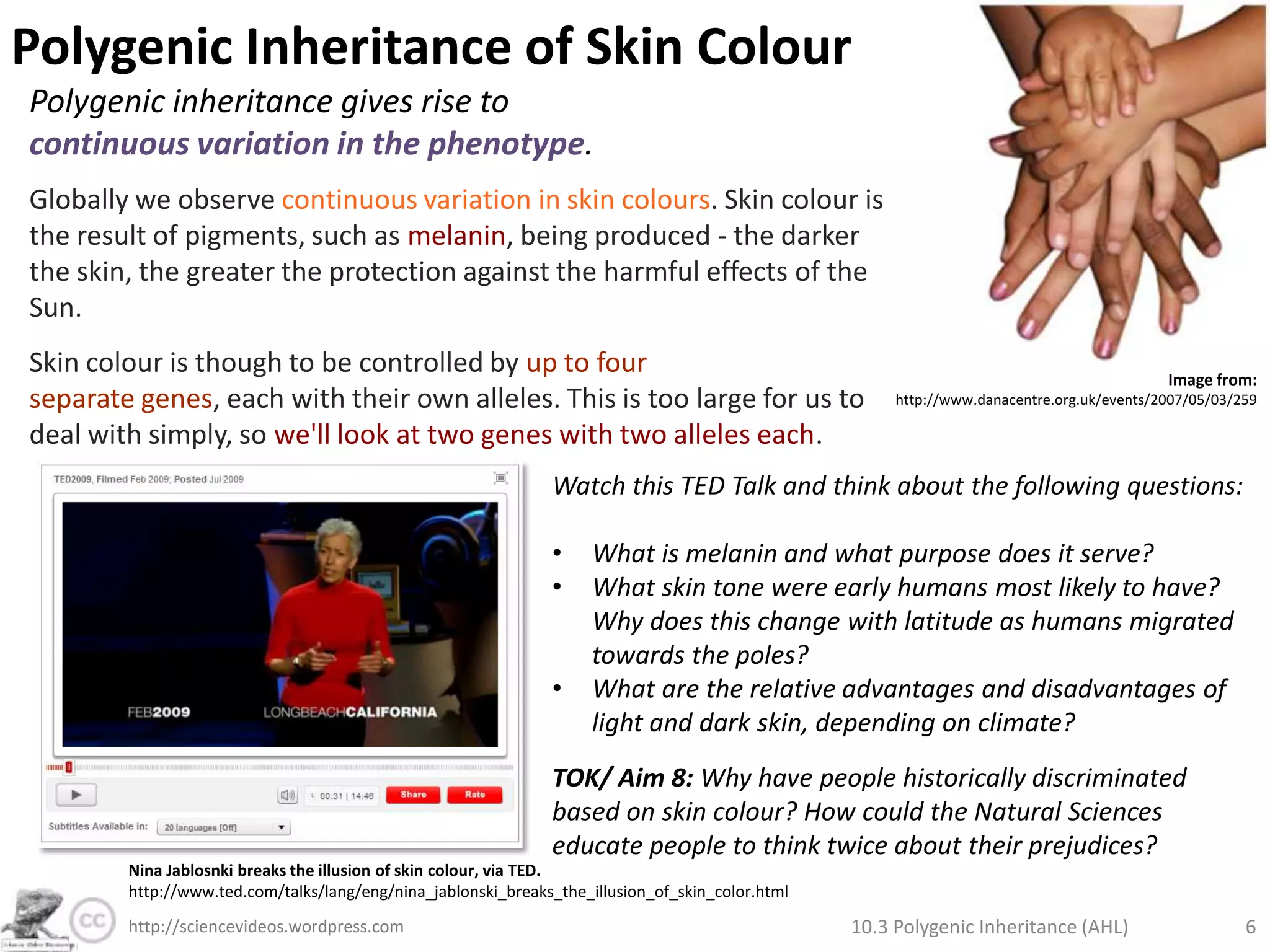 Polygenic Inheritance of Skin ColourPolygenic inheritance gives rise to continuous variation in the phenotype.Globally we observecontinuous variation in skin colours. Skin colour is the result of pigments, such as melanin, being produced - the darker the skin, the greater the protection against the harmful effects of the Sun. Skin colour is though to be controlled by up to four separate genes, each with their own alleles. This is too large for us to deal with simply, so we'll look at two genes with two alleles each. Image from:http://www.danacentre.org.uk/events/2007/05/03/25910.3 Polygenic Inheritance (AHL)5http://sciencevideos.wordpress.com