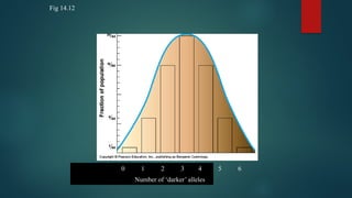 Fig 14.12
0 1 5
2 6
3 4
Number of ‘darker’ alleles
 