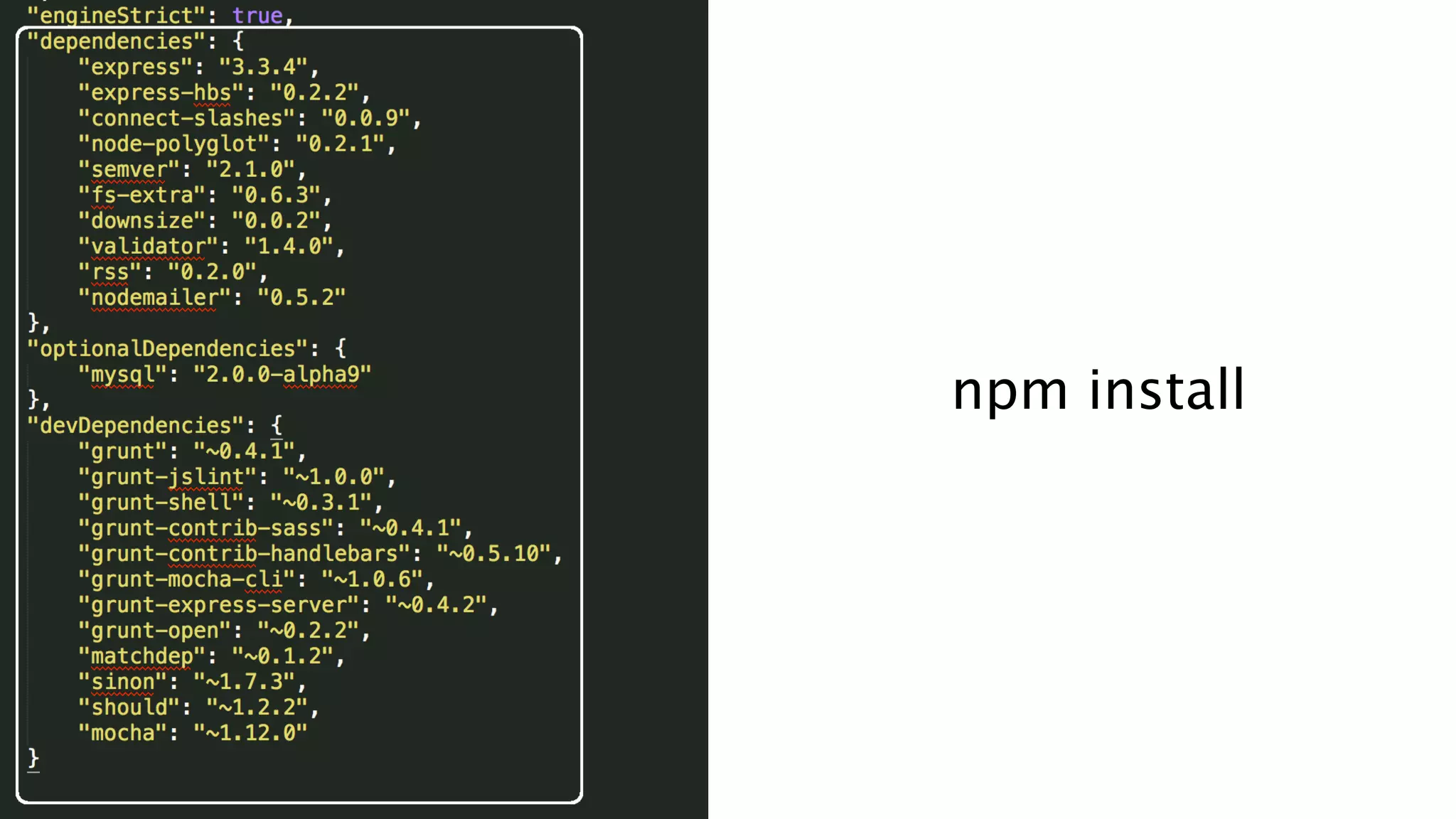 npm install
