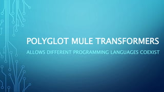 POLYGLOT MULE TRANSFORMERS
ALLOWS DIFFERENT PROGRAMMING LANGUAGES COEXIST
 