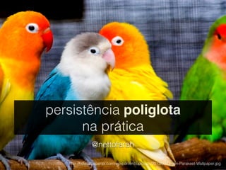 persistência poliglota 
na prática 
@nettofarah 
http://hdwallpapersx.com/wp-content/uploads/2013/09/Green-Parakeet-Wallpaper.jpg 
 
