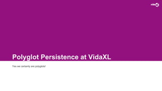 Polyglot Persistence at VidaXL
Yes we certainly are polyglots!
 