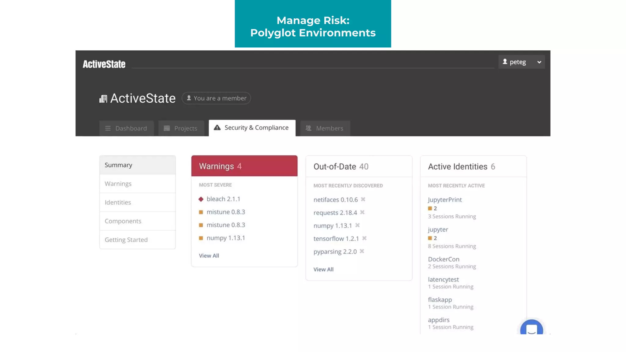 Manage Risk:
Polyglot Environments
 