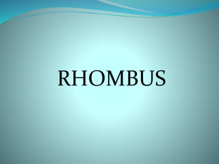 RHOMBUS 
 