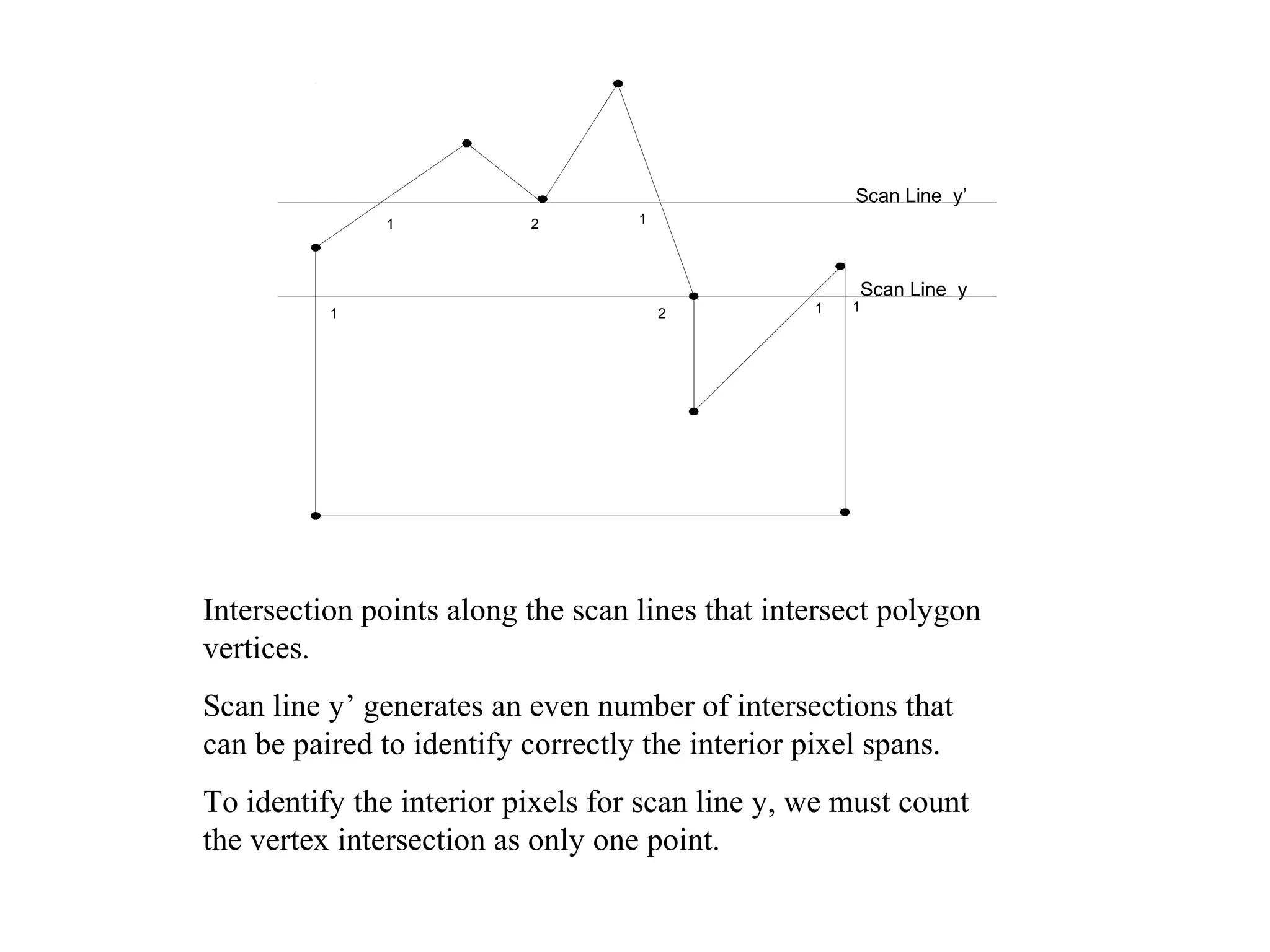 Scan Line y’
1

2

1

Scan Line y

1

2

1

1

Intersection points along the scan lines that intersect polygon
vertices.
Scan line y’ generates an even number of intersections that
can be paired to identify correctly the interior pixel spans.
To identify the interior pixels for scan line y, we must count
the vertex intersection as only one point.

 