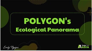 POLYGON's
Ecological Panorama
Emily Nguyen
 