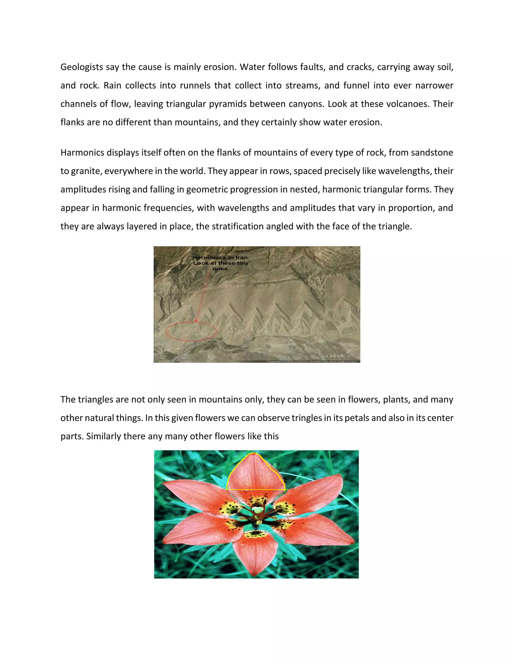 Geologists say the cause is mainly erosion. Water follows faults, and cracks, carrying away soil,
and rock. Rain collects into runnels that collect into streams, and funnel into ever narrower
channels of flow, leaving triangular pyramids between canyons. Look at these volcanoes. Their
flanks are no different than mountains, and they certainly show water erosion.
Harmonics displays itself often on the flanks of mountains of every type of rock, from sandstone
to granite, everywhere in the world. They appear in rows, spaced precisely like wavelengths, their
amplitudes rising and falling in geometric progression in nested, harmonic triangular forms. They
appear in harmonic frequencies, with wavelengths and amplitudes that vary in proportion, and
they are always layered in place, the stratification angled with the face of the triangle.
The triangles are not only seen in mountains only, they can be seen in flowers, plants, and many
other natural things. In this given flowers we can observe tringles in its petals and also in its center
parts. Similarly there any many other flowers like this
 