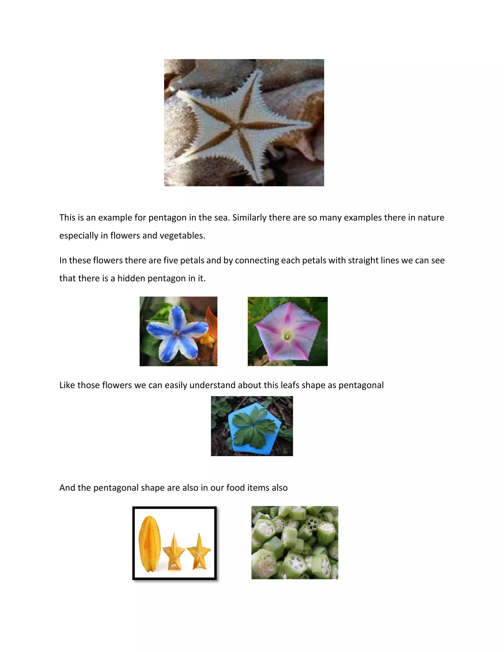 This is an example for pentagon in the sea. Similarly there are so many examples there in nature
especially in flowers and vegetables.
In these flowers there are five petals and by connecting each petals with straight lines we can see
that there is a hidden pentagon in it.
Like those flowers we can easily understand about this leafs shape as pentagonal
And the pentagonal shape are also in our food items also
 