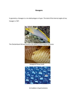 Hexagons
In geometry, a hexagon is a six sided polygon or 6-gon. The total of the internal angles of any
hexagon is 720°.
The Checkerboard Wrasse found in the waters of the Arabian Peninsula
Hexagonal honey comb
Air bubbles in liquid solutions
 