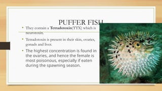 Ttx Fish POLYGRAPH (LIE DETECTOR) Alok.pptx of forensic medicine | PPTX