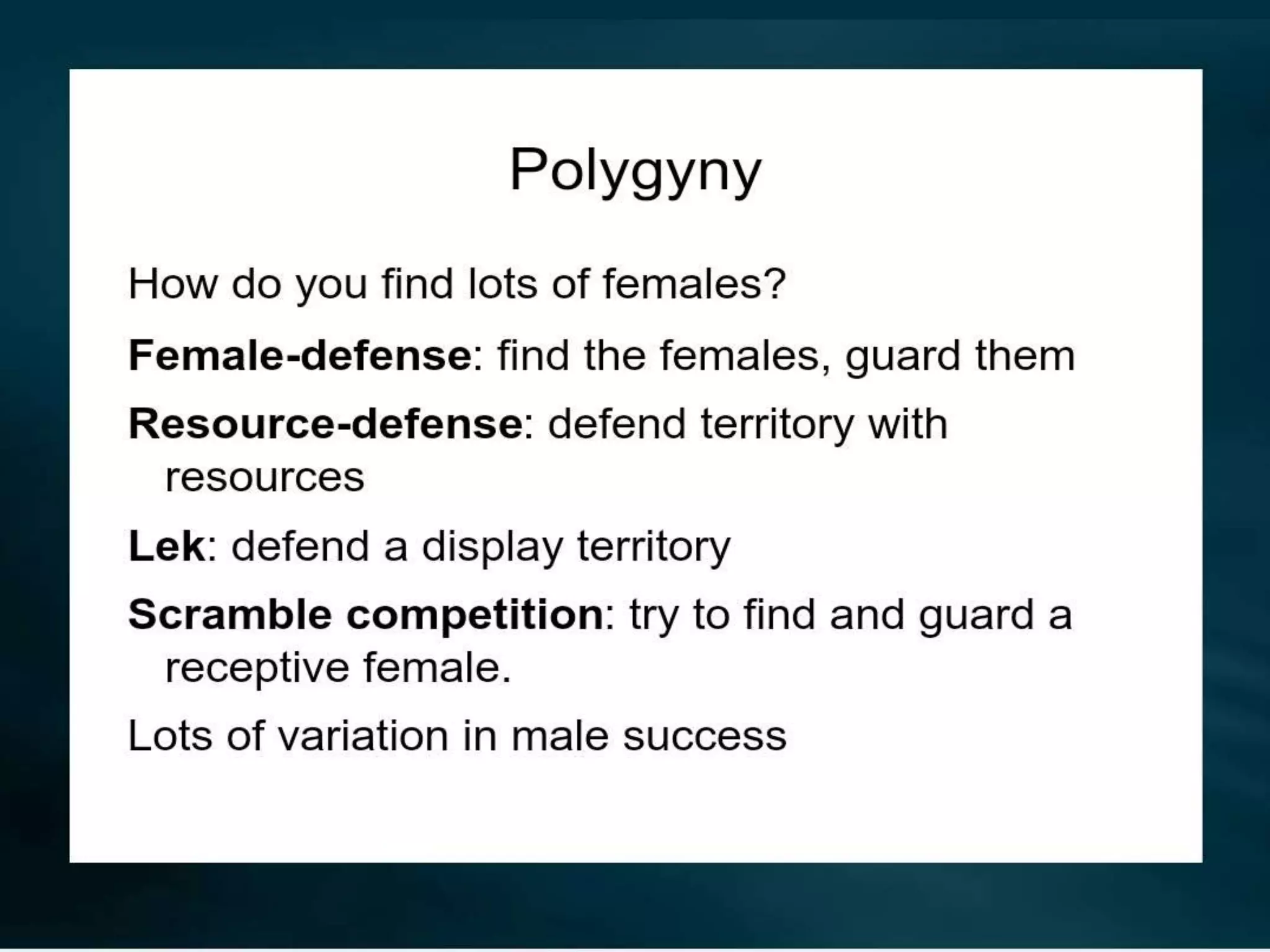 Polygyny