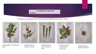 Botanical Authentication Formulation Development & Evaluation of Polyherbal Soap | PPTX