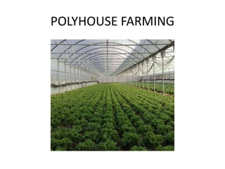 POLYHOUSE FARMING
 