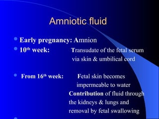 Amniotic fluid
Early pregnancy: Amnion
10th
week: Transudate of the fetal serum
via skin & umbilical cord
 From 16th
week: Fetal skin becomes
impermeable to water
Contribution of fluid through
the kidneys & lungs and
removal by fetal swallowing
 