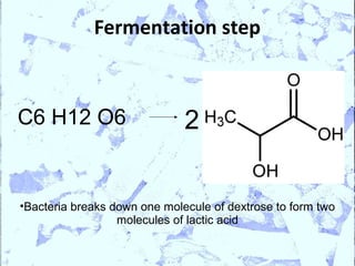 Fermentation step



C6 H12 O6                     2


•Bacteria breaks down one molecule of dextrose to form two
                  molecules of lactic acid
 