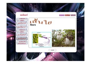 Code: 6.8


       พอลิเมอร์                           แบบทดสอบ แหล่ งข้ อมูล จุดประสงค์

     ความหมายของ
       พอลิเมอร์
  พอลิเมอร์ ธรรมชาติ
                         fibers
 พอลิเมอร์ สังเคราะห์
     การสังเคราะห์
       พอลิเมอร์
  โครงสร้ างพอลิเมอร์

  ผลิตภัณฑ์ พอลิเมอร์

    ปัญหาจากการใช้
   ผลิตภัณฑ์ พอลิเมอร์



                                  8 of 9
 