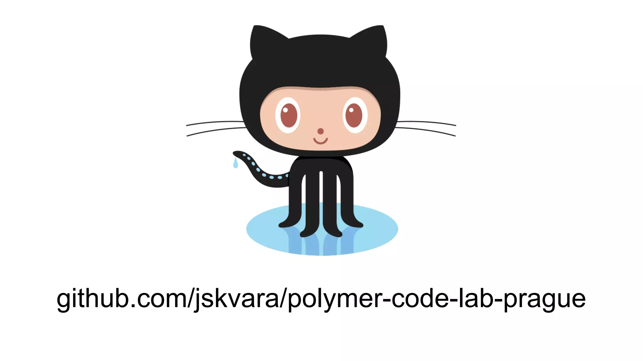 github.com/jskvara/polymer-code-lab-prague 
