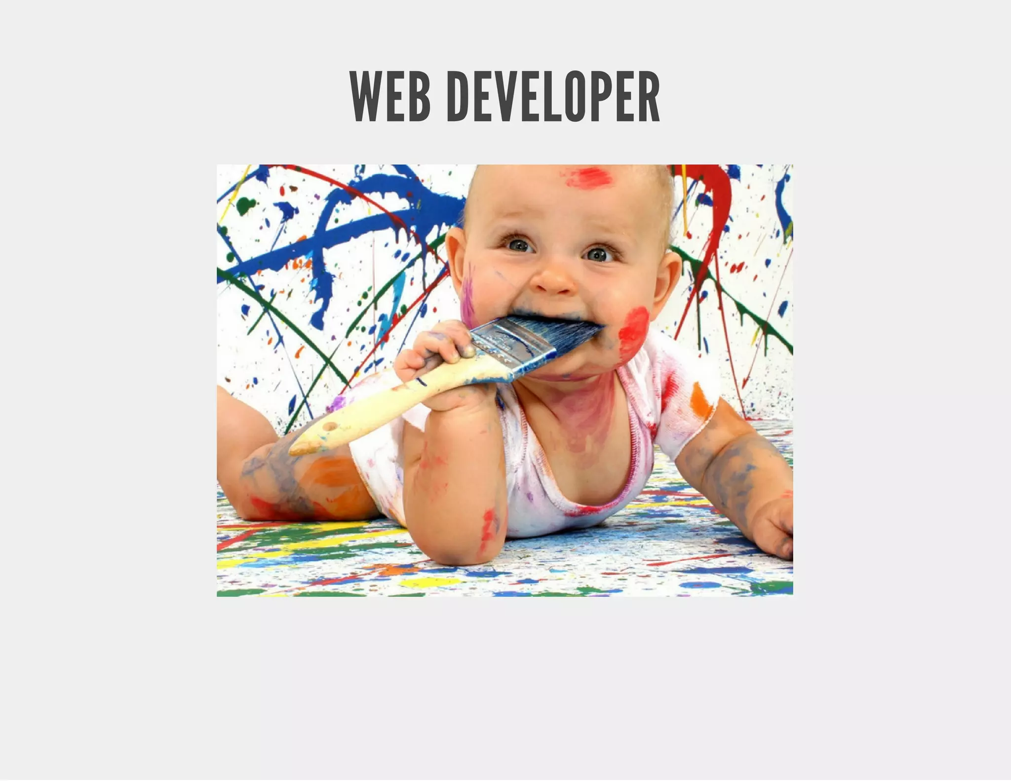 WEB DEVELOPER 