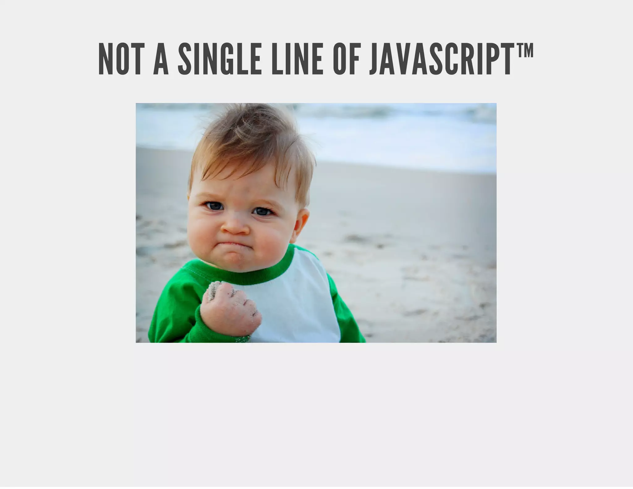 NOT A SINGLE LINE OF JAVASCRIPT™ 