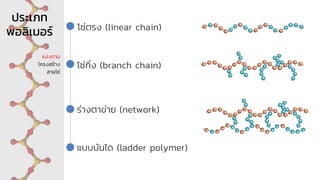 ประเภท
พอลิเมอร์
แบ่งตาม
โครงสร้าง
สายโซ่
โซ่ตรง (linear chain)
โซ่กิ่ง (branch chain)
แบบบันได (ladder polymer)
ร่างตาข่าย (network)
 