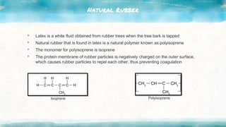 Natural Rubber
▸ Latex is a white fluid obtained from rubber trees when the tree bark is tapped
▸ Natural rubber that is found in latex is a natural polymer known as polyisoprene
▸ The monomer for polyisoprene is isoprene
▸ The protein membrane of rubber particles is negatively charged on the outer surface,
which causes rubber particles to repel each other, thus preventing coagulation
Isoprene Polyisoprene
 