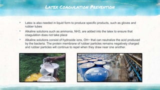 Latex Coagulation Prevention
▸ Latex is also needed in liquid form to produce specific products, such as gloves and
rubber tubes
▸ Alkaline solutions such as ammonia, NH3, are added into the latex to ensure that
coagulation does not take place
▸ Alkaline solutions consist of hydroxide ions, OH− that can neutralize the acid produced
by the bacteria. The protein membrane of rubber particles remains negatively charged
and rubber particles will continue to repel when they draw near one another.
 