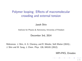 Polymer looping: Eﬀects of macromolecular
crowding and external tension
Jaeoh Shin
Institute for Physics & Astronomy, University of Potsdam
December 3rd, 2014
References: J. Shin, A. G. Cherstvy, and R. Metzler, Soft Matter (2015).;
J. Shin and W. Sung, J. Chem. Phys. 126, 045101 (2012).
.
MPI-PKS, Dresden
1 / 41
 