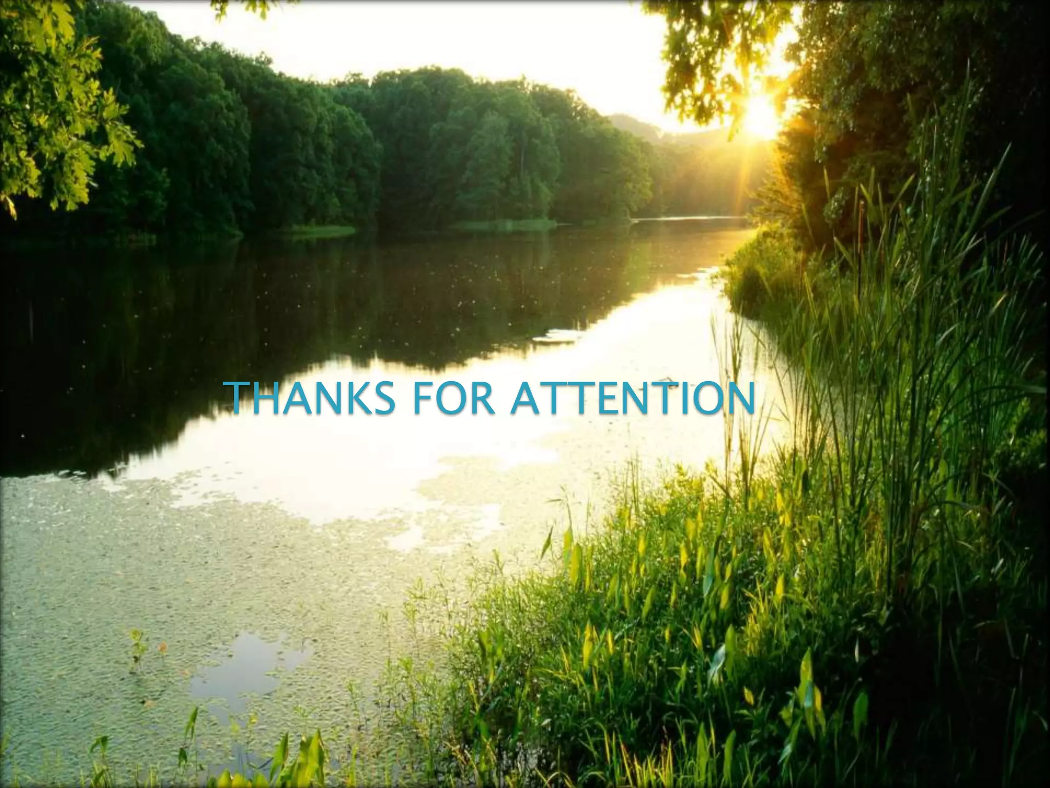 THANKS FOR ATTENTION

 