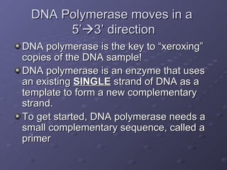 DNA Polymerase moves in a  5’  3’ direction DNA polymerase is the key to “xeroxing” copies of the DNA sample! DNA polymerase is an enzyme that uses an existing  SINGLE  strand of DNA as a template to form a new complementary strand. To get started, DNA polymerase needs a small complementary sequence, called a primer 