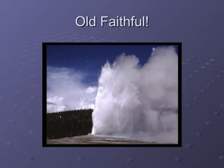 Old Faithful! 