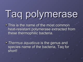 Taq polymerase This is the name of the most common heat-resistant polymerase extracted from these thermophilic bacteria. Thermus aquaticus  is the genus and species name of the bacteria, Taq for short! 