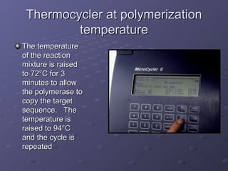 Thermocycler at polymerization temperature The temperature of the reaction mixture is raised to 72 °C for 3 minutes to allow the polymerase to copy the target sequence.  The temperature is raised to 94°C and the cycle is repeated 
