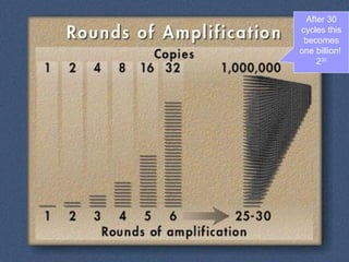 After 30 cycles this becomes one billion!  2 30 