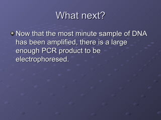 What next? Now that the most minute sample of DNA has been amplified, there is a large enough PCR product to be electrophoresed. 